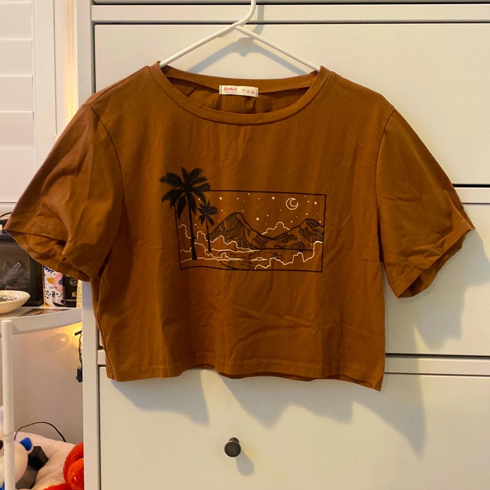 Brown Cropped T- Shirt